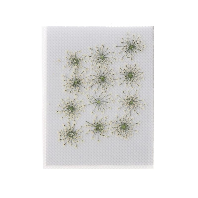 Set 12 Hoa Khô Trang Trí