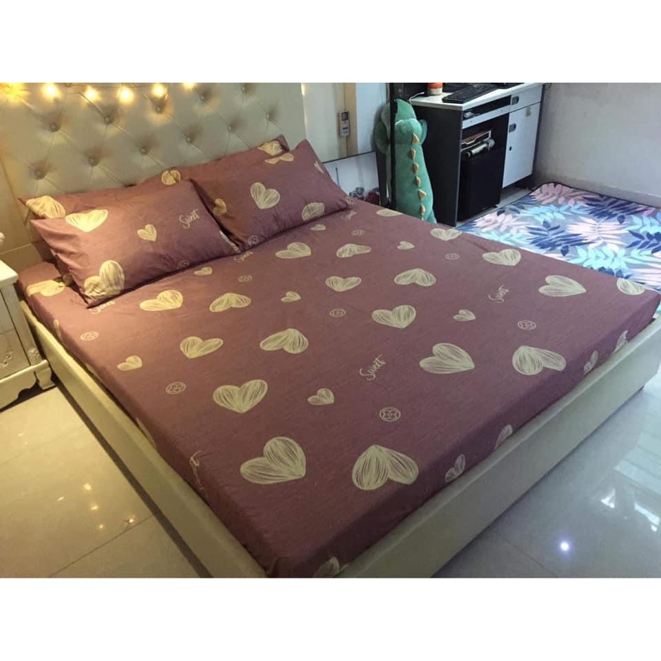 Ga Giường Cotton Poly, Drap Trải Bọc Nệm Mẫu Tùy Chọn