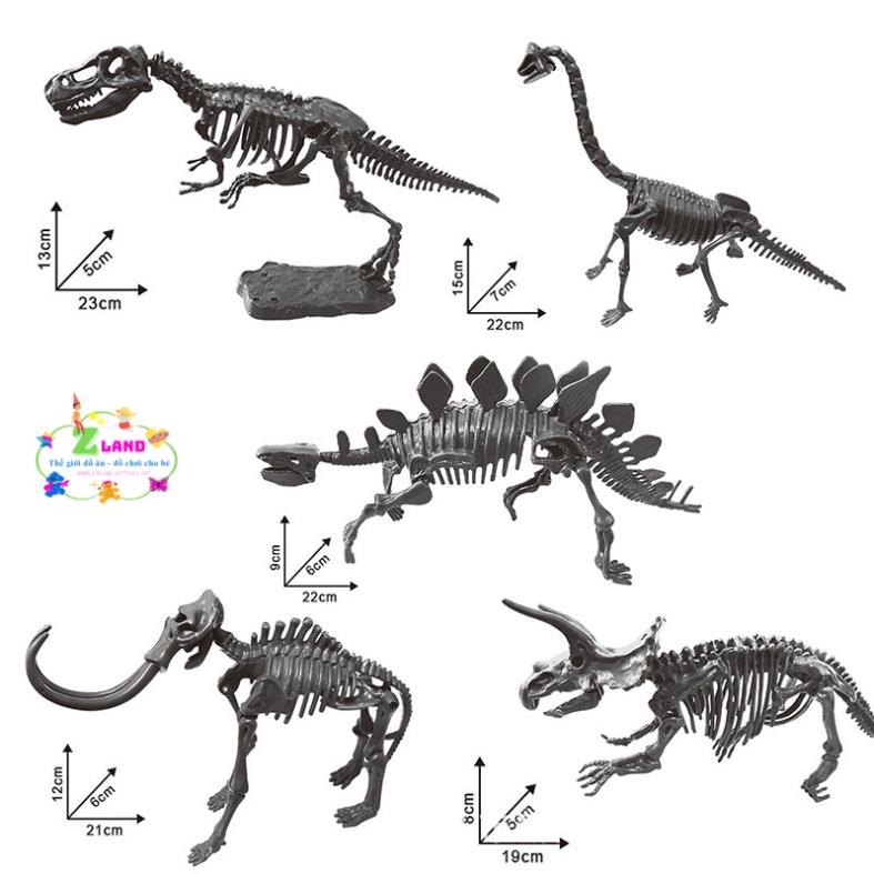 ĐÀO KHỦNG LONG 3D HỘP ĐẸP CHO BÉ