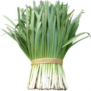 Gói 5 gr hạt giống rau hẹ