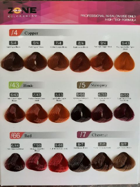 Thuốc nhuộm ZONE 48 màu chuyên nghiệp | BigBuy360 - bigbuy360.vn