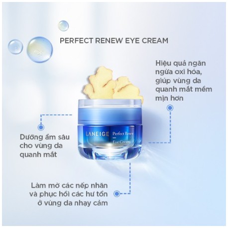 Kem dưỡng ngăn ngừa lão hóa vùng mắt [Laneige] Perfect Renew Eye Cream 20ml