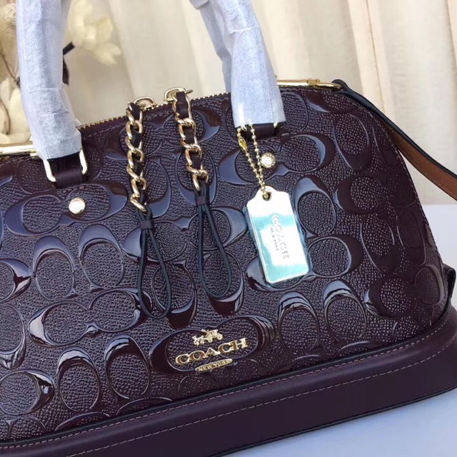 🔥TÚI COACH HẾN F27597