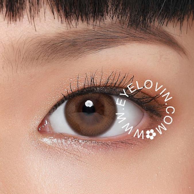 Mèo Con Kawaii Kitty Softlens - Mini Primo Nâu | BigBuy360 - bigbuy360.vn