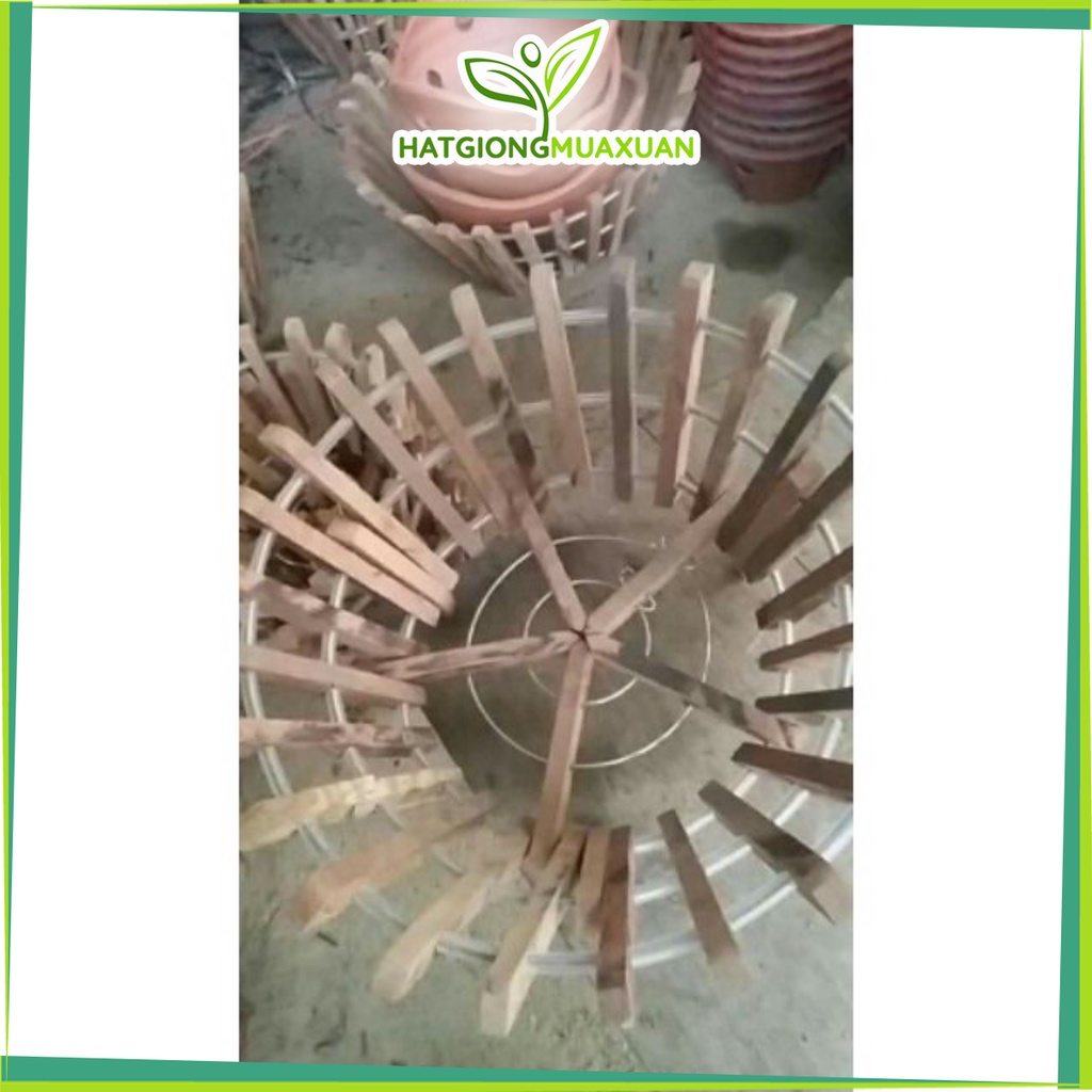 [SIEURE] Chậu gỗ nhãn trồng lan hàng đẹp, phân phối chuyên nghiệp.
