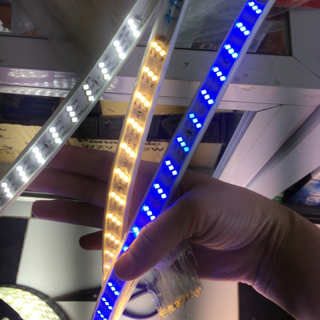 Dây led 3 hàng chéo hắt trần thạch cao siêu sáng,chống nước trang trí biển quảng cáo,quấn cây ngoài trời.