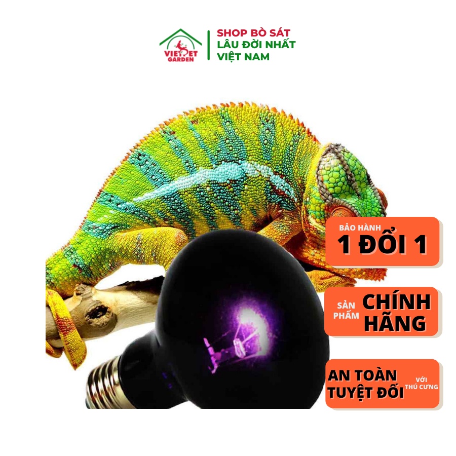 Đèn sưởi đêm dành cho thú cưng bò sát | Vietpetgarden