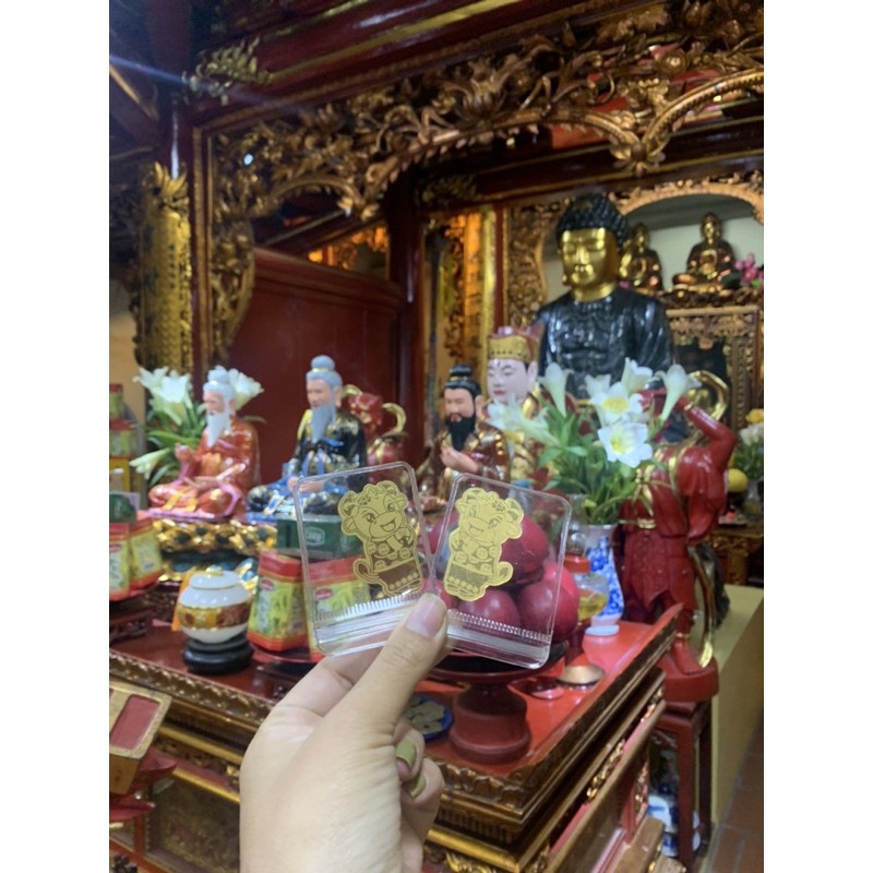 Miếng Dán Trâu Vàng | BigBuy360 - bigbuy360.vn
