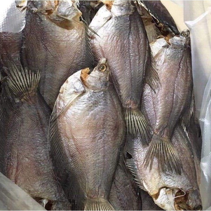 KHÔ CÁ SẶC THƯỢNG HẠNG TO BỰ ĐẶC SẢN  U MINH CÀ MAU PHƠI SẤY NẮNG TỰ NHIÊN (7*8C-500GR)