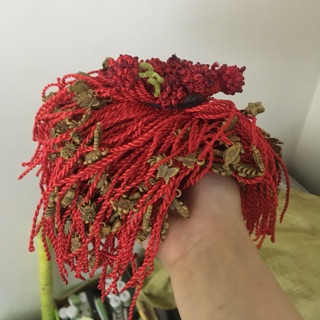 Sỉ vòng may mắn 5k