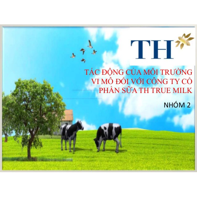 Sữa TH True Milk - Hộp to 180ml - Có đường - Ít Đường - Nguyên chất  Hàng date dài (Nguyên thùng 48 hộp)