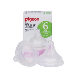 NÚM TI PIGEON NỘI ĐỊA NHẬT