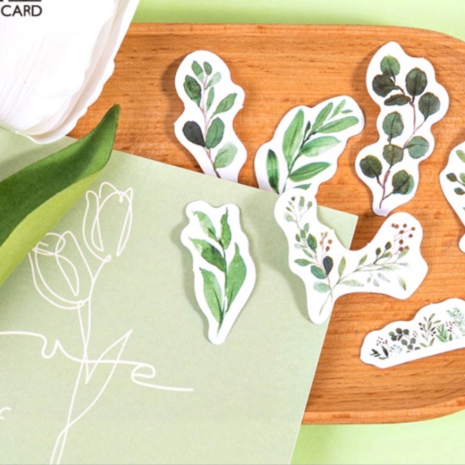 Hộp 46 miếng sticker mẫu vòng lá cây xanh