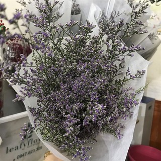 Hoa sao tím tươi Đà Lạt, 200gr