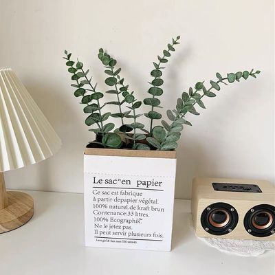 Eucalyptus Plant Ins Eucalyptus Leaf Restaurant Room Desktop Decoration Photo Props