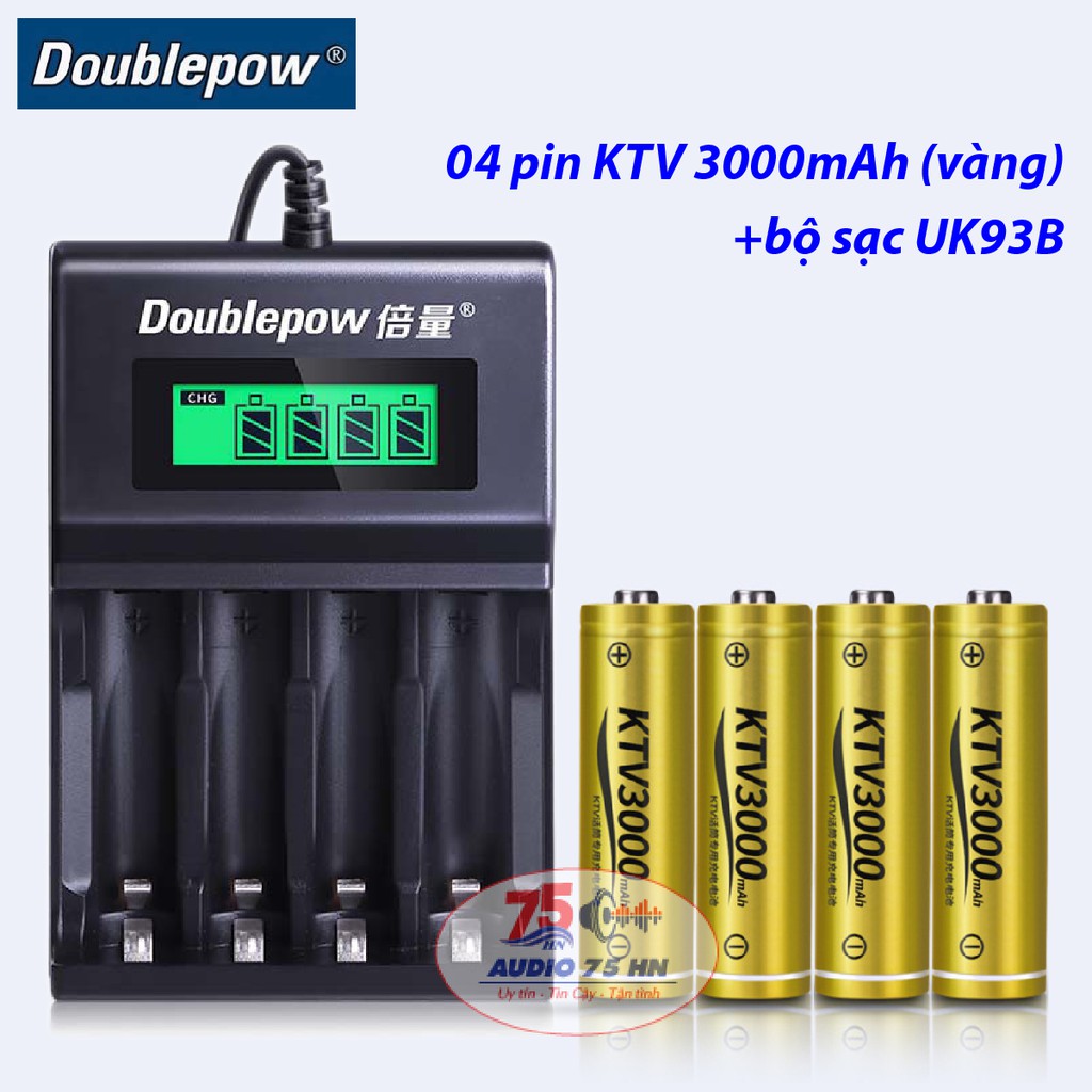 Combo 04 pin Doublepow KTV 3000mAh(vàng) kèm bộ sạc DBP-UK93B chuyên dụng micro Karaoke