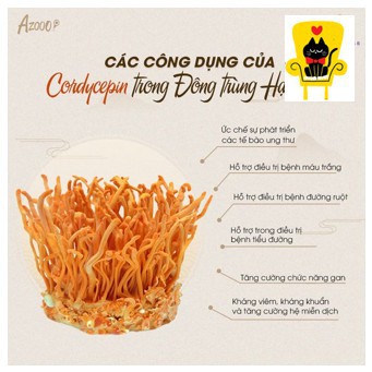 Nấm đông trùng hạ thảo Heligrass10g [có tem chống hàng giả] | BigBuy360 - bigbuy360.vn