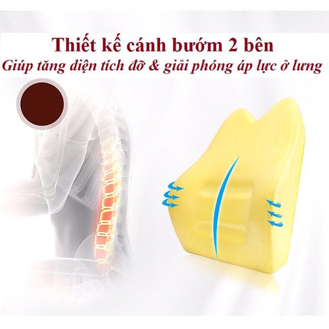 Bộ gối , tựa lưng cao su non cao cấp