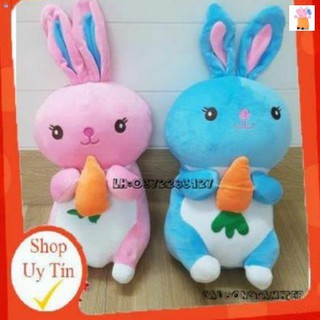 Gấu bông Thỏ ôm carot kute💝FREESHIP🍅Gấu bông thú bông đáng yêu dễ thương chất liệu vải cao cấp nhồi bông gòn