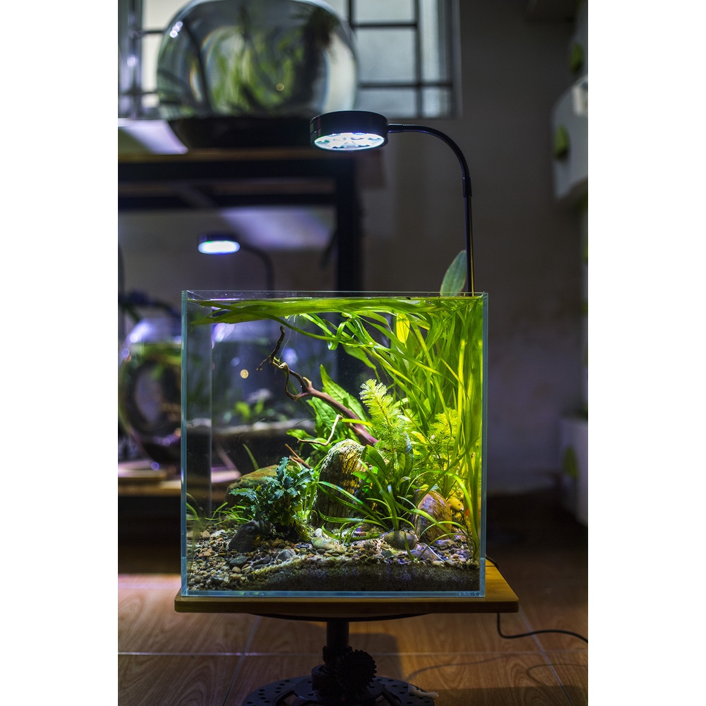 Hàng tuyển chọn_Đá cuội thủy sinh/đá siêu vân/sỏi suối siêu đẹp