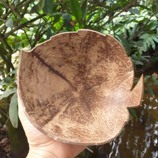 Dĩa(đĩa) gáo dừa, cắt hình trái tim, chiếc lá, hoa. Như hình mẫu. Làm từ 100%gáo dừa thiên nhiên,.......................