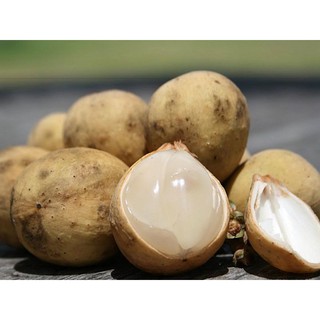 Cây bòn bon thái...