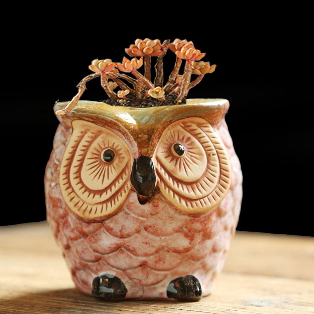 YIYU Chậu Cây Cảnh Bằng Gốm Sứ Dễ Thương Xinh Xắn