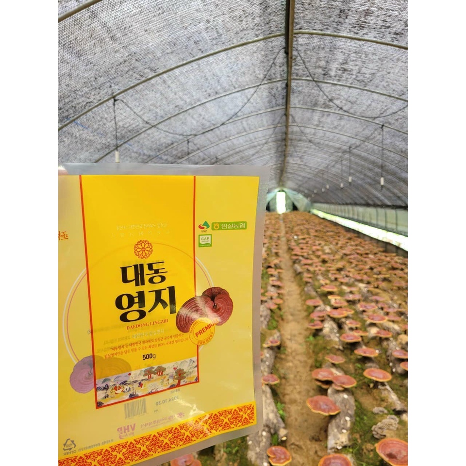 Sản phẩm Nấm Linh Chi Hàn Quốc