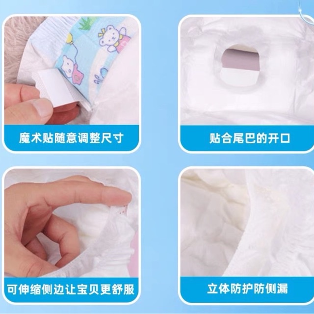 Tả cho chó đực - cái