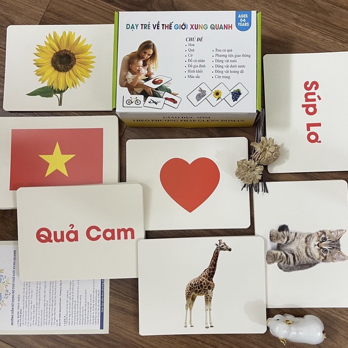 BỘ THẺ THẾ GIỚI XUNG QUANH 300 THẺ  - DẠY BÉ BIẾT ĐỌC SỚM