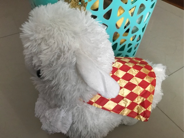 CỪU AMUSE ALPACA