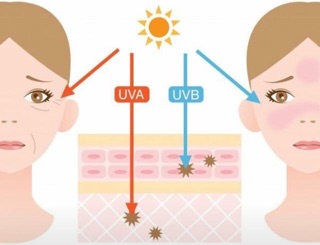 KEM CHỐNG NẮNG SUN CREAM
