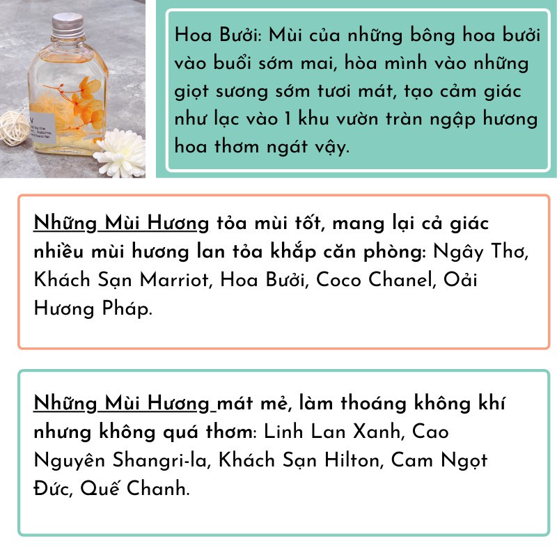 Tinh dầu thơm phòng phát sáng ban đêm nguyên liệu thiên nhiên Nước hoa thơm phòng có que khuếch tán hương thơm