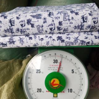 Vải bơi thể thao