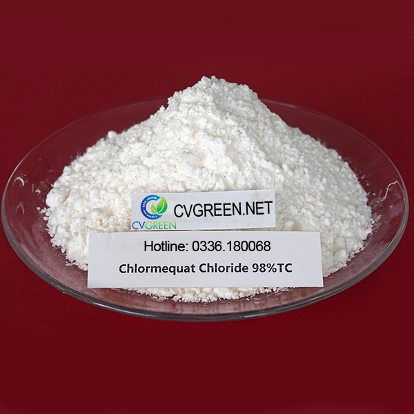 Mepiquat Chloride - Hạn chế sự kéo dài của tế bào, kiểm soát sự tăng trưởng của thân, cành (gói 100g)