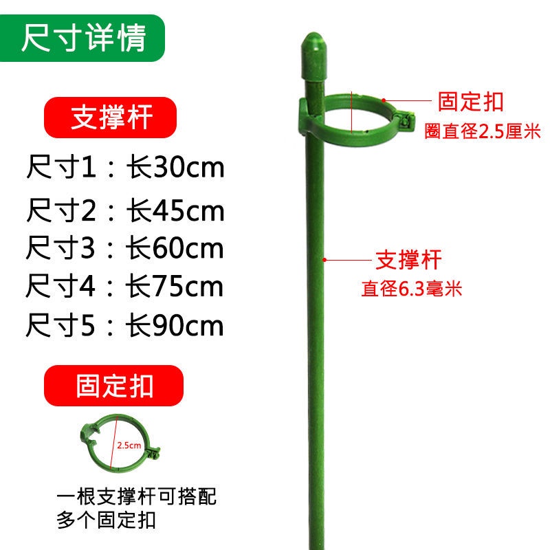 Giá Đỡ Hỗ Trợ Cây Leo Chống Đứt Tiện Dụng Cho Sân Vườn / Ngoài Trời