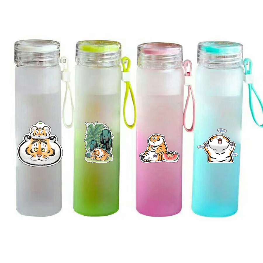 Bình nước hổ mập màu loang BNML28 bình nước hologram thần tượng 500ml