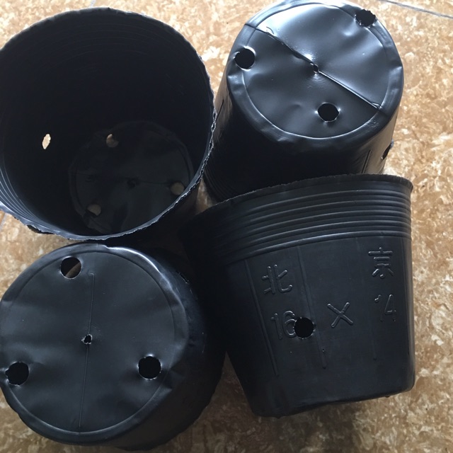 1kg bầu ươm cây size nhỡ