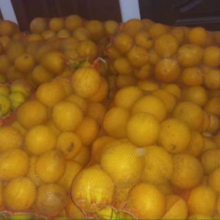 Bưởi diễn ngon cây 14 năm.