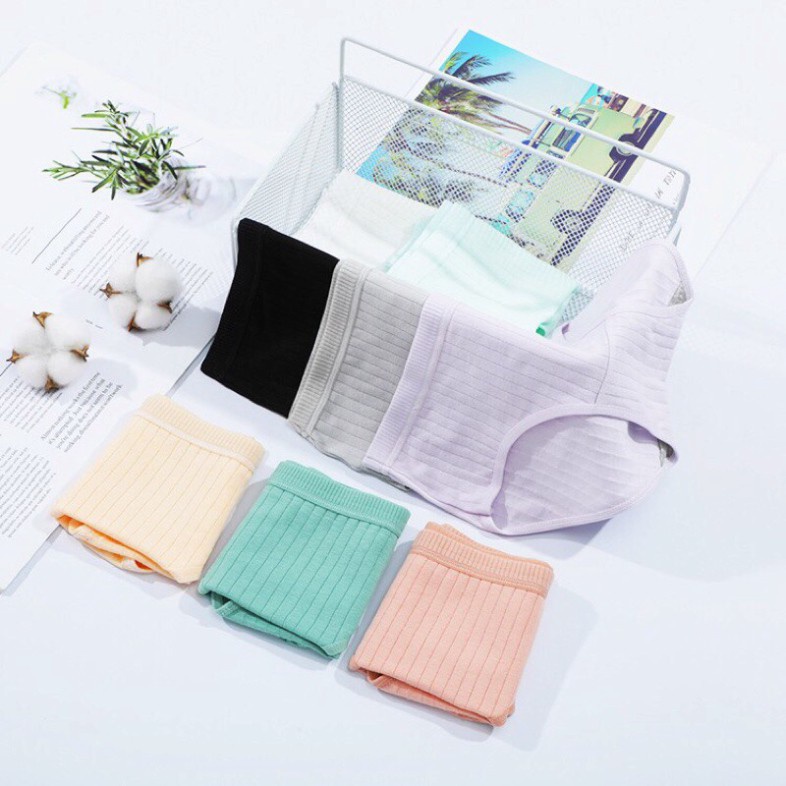 Quần Lót Cotton Tăm Gân Sọc Bản To Xuất Nhật | BigBuy360 - bigbuy360.vn