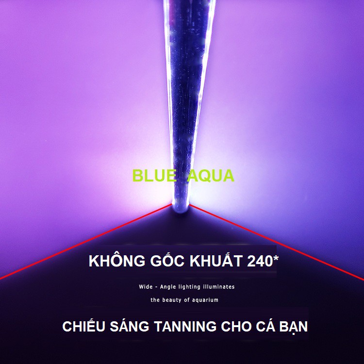 Đèn Led RGB Ibay Chuyên Tanning Cá Rồng