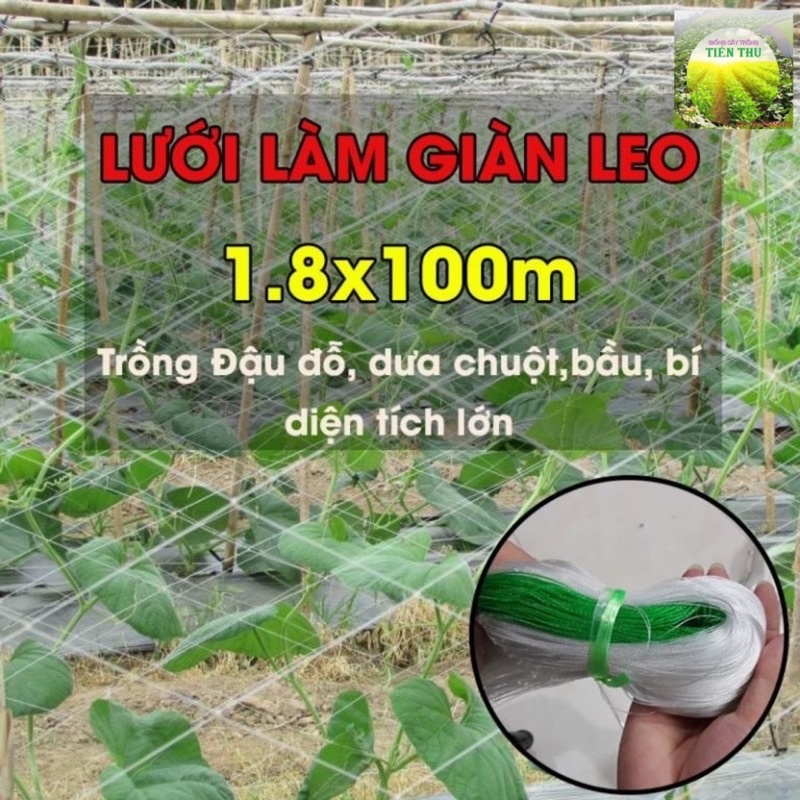 Lưới làm giàn leo 1.8x100m trồng dưa chuột, mướp, đậu, bầu bí, mướp quy mô lớn