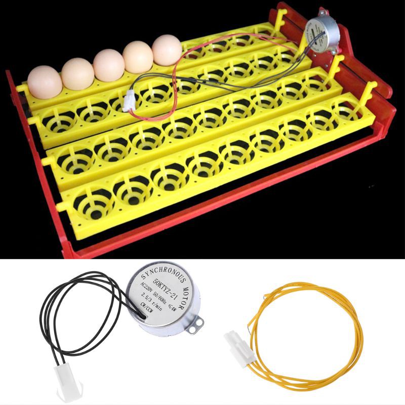 Thiết Bị Ấp Trứng Tự Động Mini 1 Toàn Bộ 220V 220V