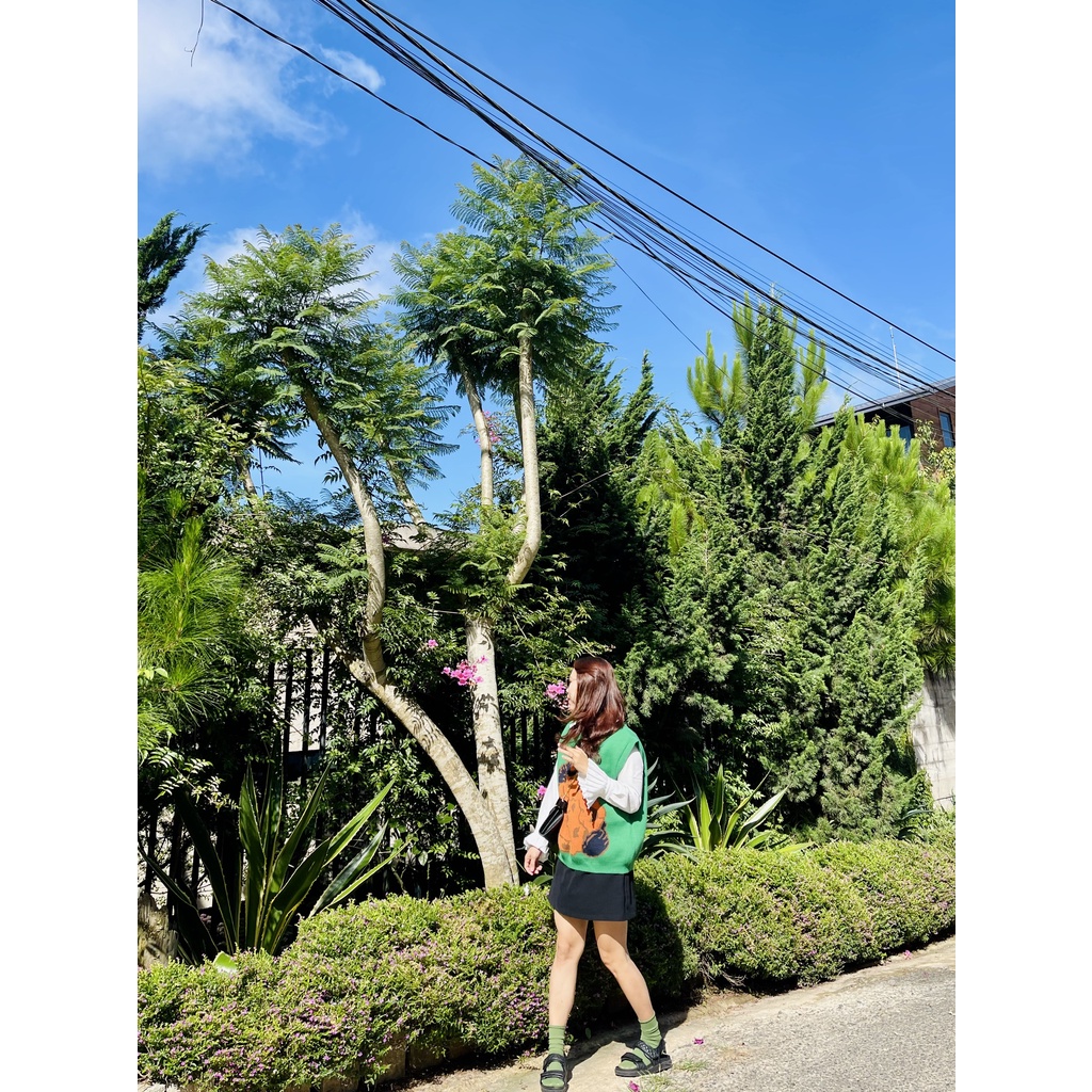 (HÀNG SẴN - ẢNH THẬT) Áo gile len cute cho nữ oversize, áo không tay cá tính - nhiều màu lựa chọn