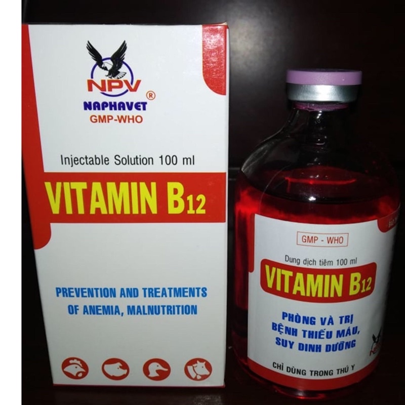 VITAMIN B12 GÀ ĐÁ, Heo, BÒ,CHó MÈO