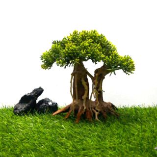 Lũa bon sai Tùng Mẫu tử (C: 15cm- N:20cm- S:10cm)