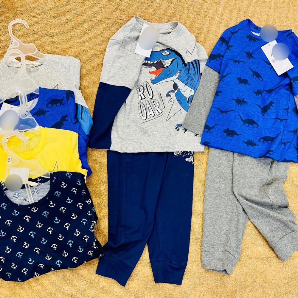 Đồ bộ dài tay bé trai hàng xuất dư chất cotton xịn hình in sắc nét cho bé từ 1 tới 7 tuổi Shushibaby