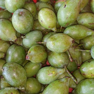 Quả dọc Phú Thọ