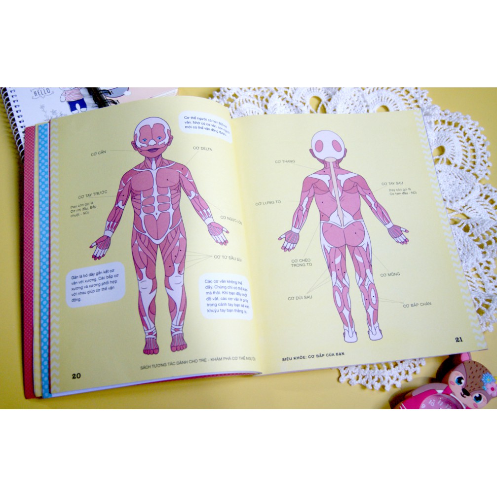 Sách - Khám Phá Cơ Thể Người - Sách tương tác dành cho trẻ 3+ - Nhiều tác giả