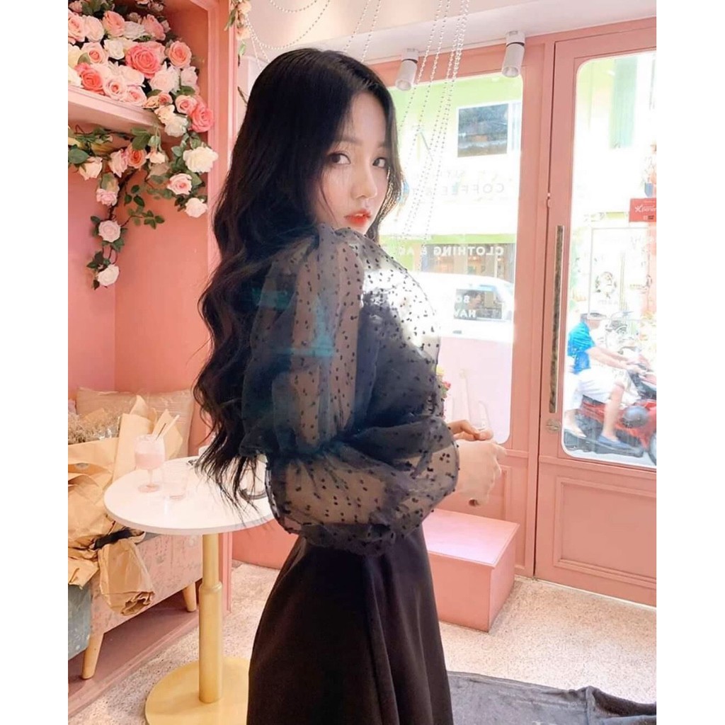 Đầm dự tiệc tay lưới bi phồng siêu sang - Liizy | BigBuy360 - bigbuy360.vn